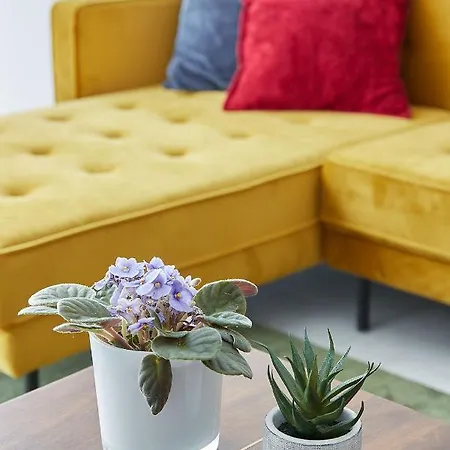 Casa de hóspedes Satori